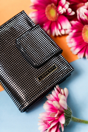 Stilvolle Damen Geldbörse aus Leder mit Druckknopf und Bügelverschluss – Lorenti