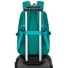 Grüner, jugendlicher Schulrucksack aus Polyester mit verstellbaren Schultergurten – Peterson