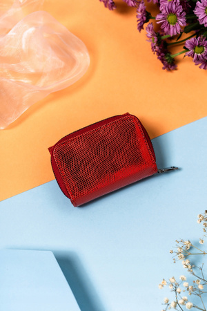 Kompakte Damen Geldbörse aus glänzendem Leder – Lorenti