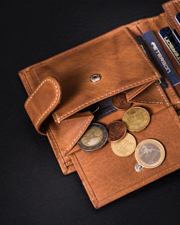 Herren Geldbörse aus Leder mit RFID Protect – Peterson