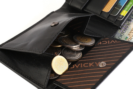 Herren Geldbörse aus Leder mit RFID Protect Kartenschutz – Rovicky