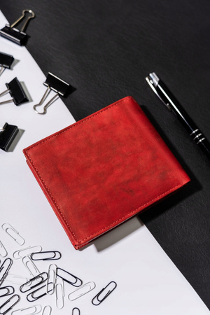 Große Herren Geldbörse aus Leder ohne Verschluss – Always Wild