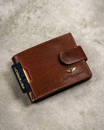 Leder Set PTN SET3-N79L-VT Braun