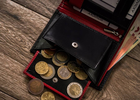 Große Herren Geldbörse aus echtem Leder – Rovicky