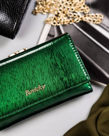 Damen Geldbörse aus Leder mit Bügel- und Druckknopfverschluss – Rovicky