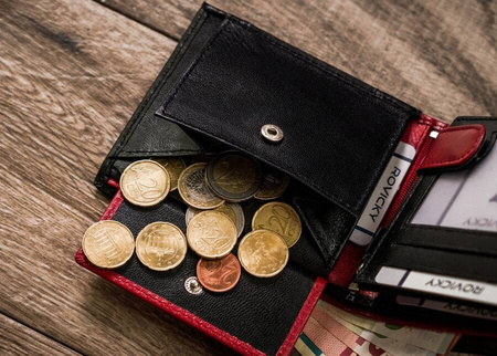 Herren Geldbörse aus Leder ohne äußeren Verschluss – Rovicky