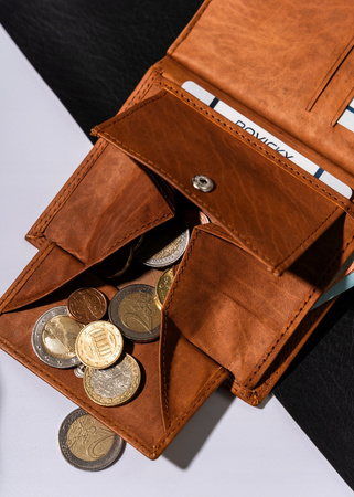 Große Herren Geldbörse aus Leder – Always Wild