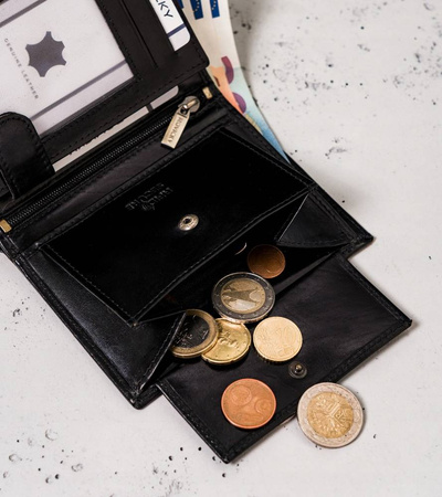 Große, vertikale Herren Geldbörse aus Leder – Peterson