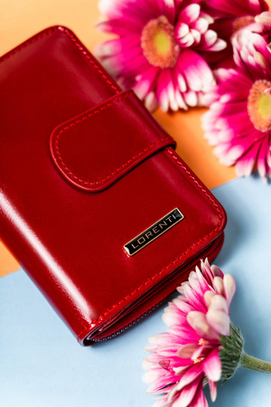 Klassische Damen Geldbörse mit Druckknopf und Reißverschluss – Lorenti