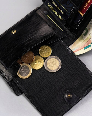 Große Herren Geldbörse aus Leder ohne äußeren Verschluss – Peterson