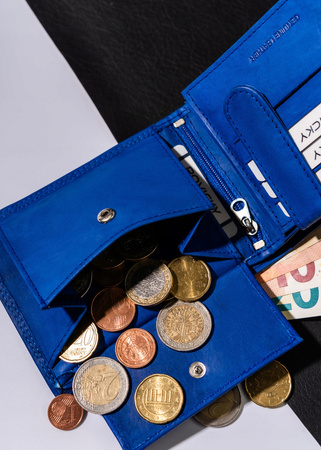 Große Herren Geldbörse aus echtem Leder in horizontaler Ausführung – Always Wild