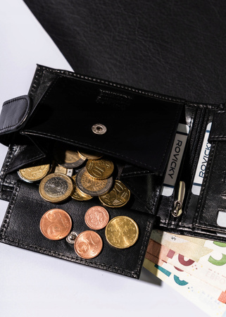 Elegante Herren Geldbörse aus Leder mit Druckknopf – Always Wild