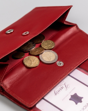 Große Damen Geldbörse aus Leder mit Druckknopf – 4U Cavaldi