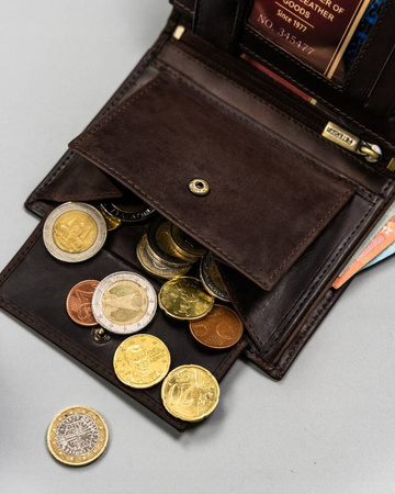 Große vertikale Herren Geldbörse aus echtem Leder – Peterson