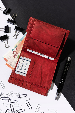 Große Herren Geldbörse aus Leder – Always Wild