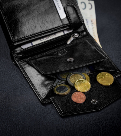 Klassische Herren Geldbörse aus glattem Echtleder – Rovicky