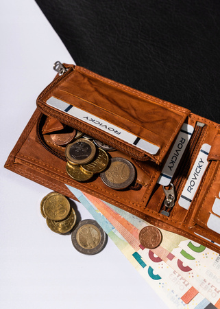 Große Herren Geldbörse aus Leder ohne Verschluss – Always Wild