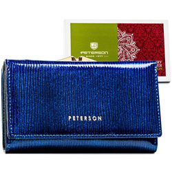 Damen Kartenetui in Blau – Peterson