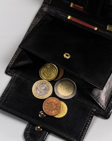 Große Herren Geldbörse aus Leder mit Druckknopfverschluss – Peterson