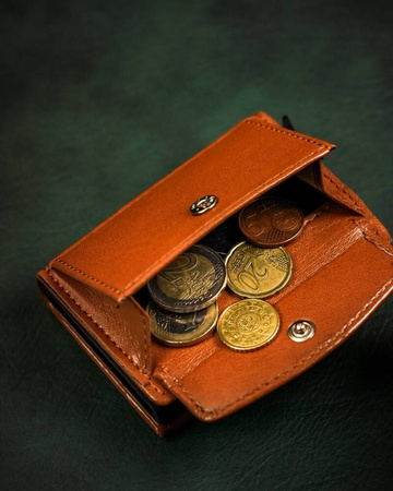 Damen Geldbörse aus Leder mit Kartenhalter – Peterson