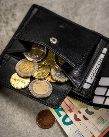 Geschenkset: Herren Geldbörse und Schlüsselanhänger aus Öko-Leder – Rovicky