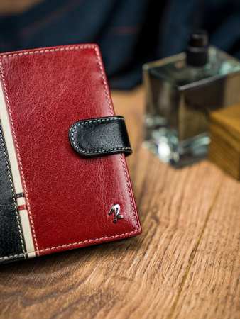 Herren Geldbörse hochkant, zweifarbig aus Leder – Rovicky