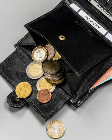 Herren Geldbörse Hochformat aus Echtleder – Rovicky