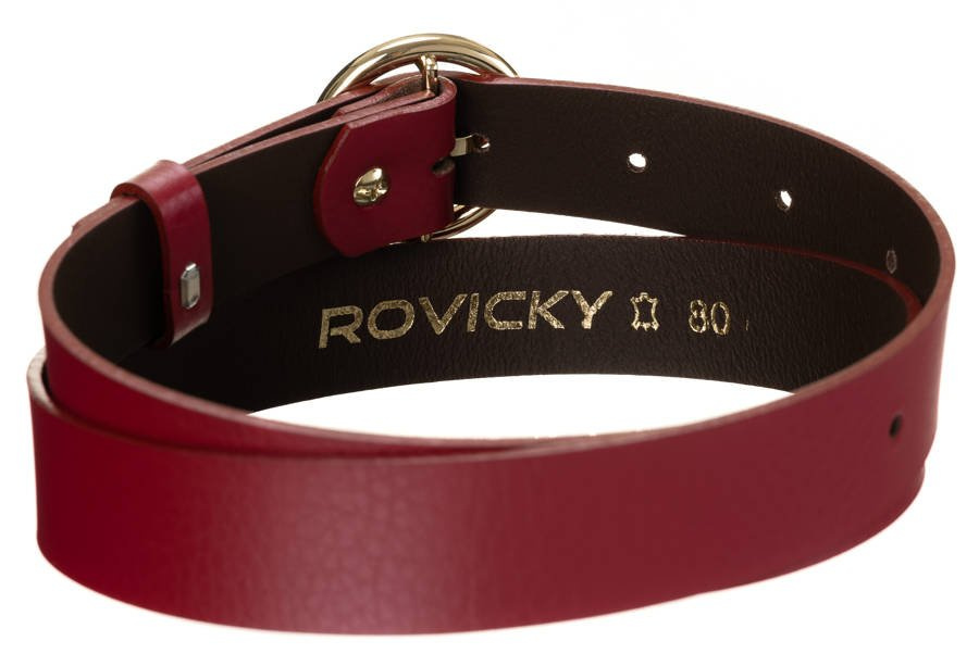 Damen Gürtel aus Leder glänzend mit goldener, runder Schnalle – Rovicky – Bild 3