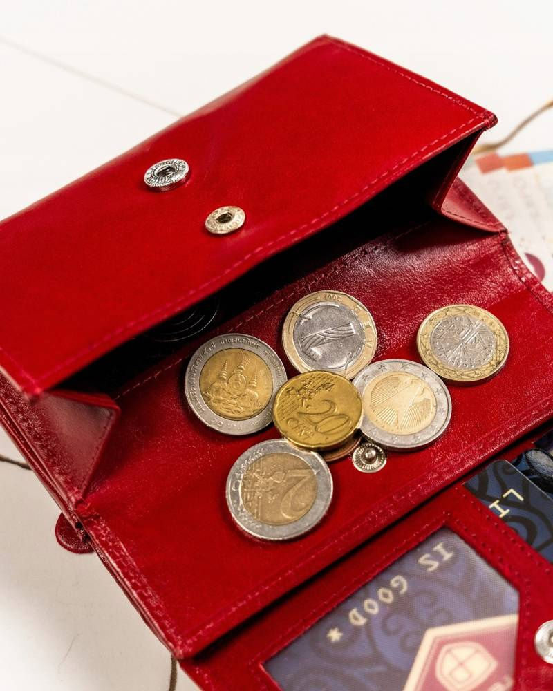 Geschenkset: große Damen Geldbörse und Schlüsselanhänger aus Leder – Peterson – Bild 10