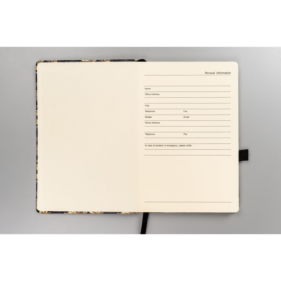 Schwarz-goldenes, punktiertes Notizbuch mit Gummiband – Peterson – Bild 4
